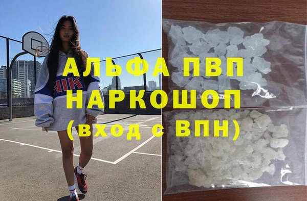 Альфа ПВП Бородино