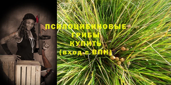 spice Бугульма