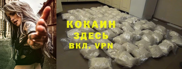 Альфа ПВП Бородино
