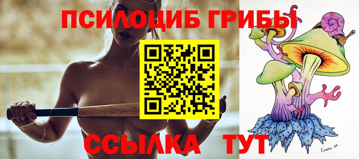 Городец  Галлюциногенные грибы мицелий  Вход с VPN  Псилоцибиновые грибы мицелий 
