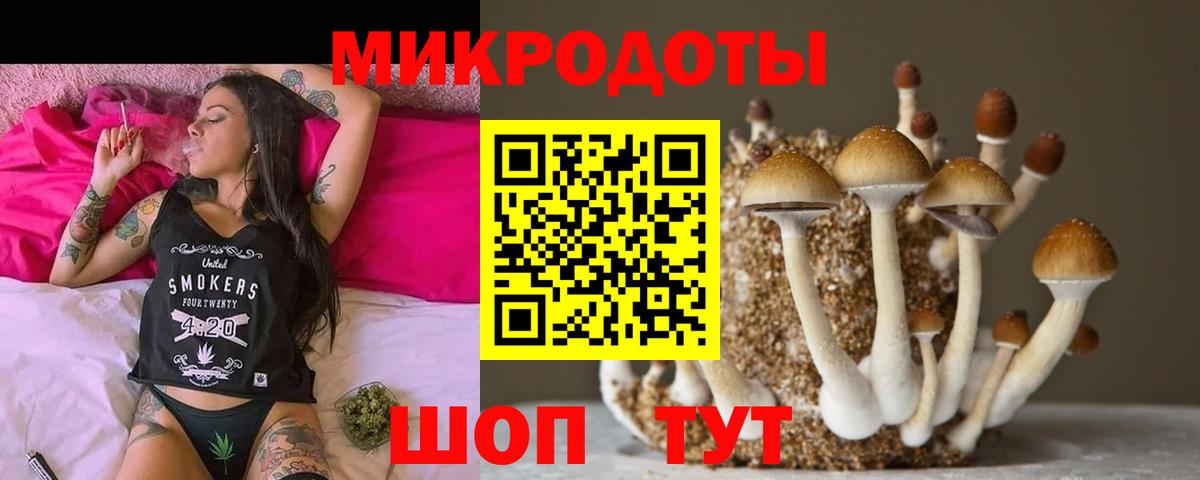 Псилоцибиновые грибы GOLDEN TEACHER Городец