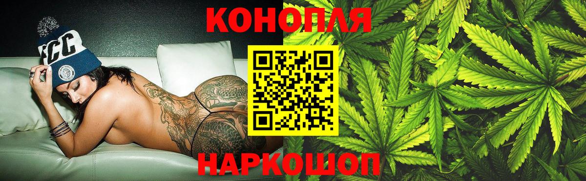 Канабис семена  Бошки Шишки Bruce Banner  Марихуана сатива  Бошки марихуана семена  Городец  Вход с VPN 